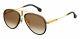 Carrera  UNISEX sunglasses with a BLACK GOLD frame and BLACK BROWN GREEN ANTIREFLEX lens with a lens width of 58mm and model number Carrera GLORY